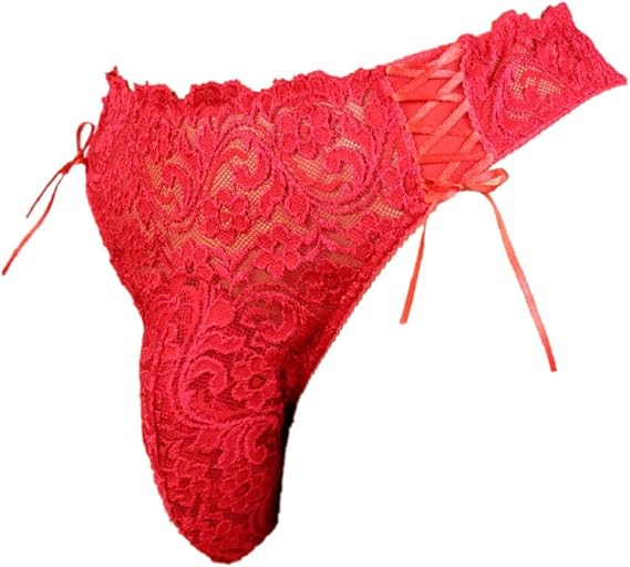 aishani Men's Silky Lace Thong Pouch Panties Briefs Bikini Underwear