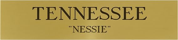 Customized Solid Brass Stall Plate