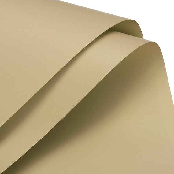 MECCANIXITY Pearlescent Film Flower Wrapping Paper 22.8x22.8 Inch Waterproof for DIY Crafts, Gift/Gift Box Packaging Beige Pack of 10