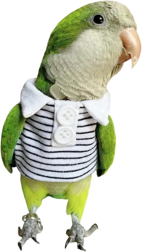 Hahn's Macaw Bird Diaper Flight Suit Summer Clothes Cosplay Photo Prop for Parrots Lovebird Parakeet Cockatiel Small Animals Apparel (with Diaper)