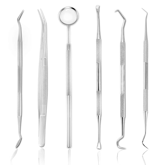 Dentist Tools Professional 6pcs Steel Dental Tools Contain Tweezers Probe Hoe-shaped Tooth Cleaner Sickle Tooth Cleaner for Adults, Kids, and Pets Oral Care Use