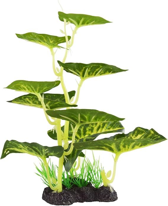 Underwater Treasures Plant Arrowhead