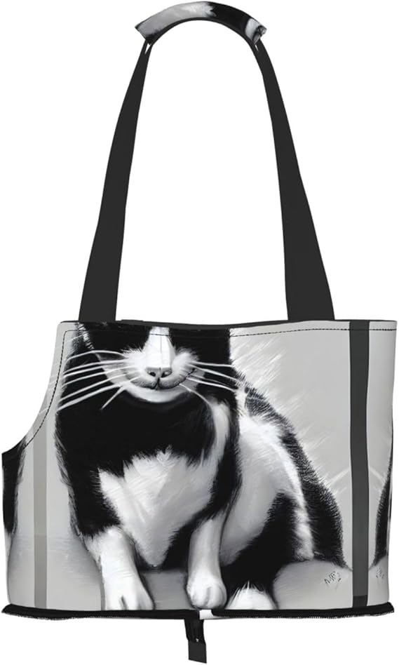 Soft Sided Collapsible Pet Travel Carrier for Medium Cats and Puppy, for Subway/Shopping/Hiking,Black and White Cats Print
