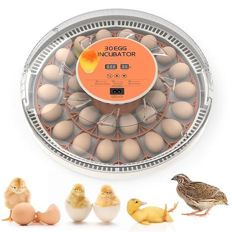 incubators for Hatching Eggs,30 Egg Incubator,Egg Incubator with Automatic Egg Turning,Incubator for Chicken Eggs,Chicken incubators for Hatching Eggs,Quail Egg Incubator