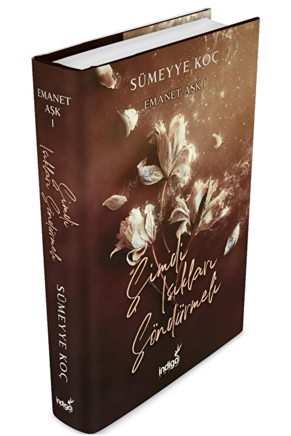 Escrow Love 1 – Now Must Turn Off the Lights Hardcover Hardcover Cover – May 12, 2023
