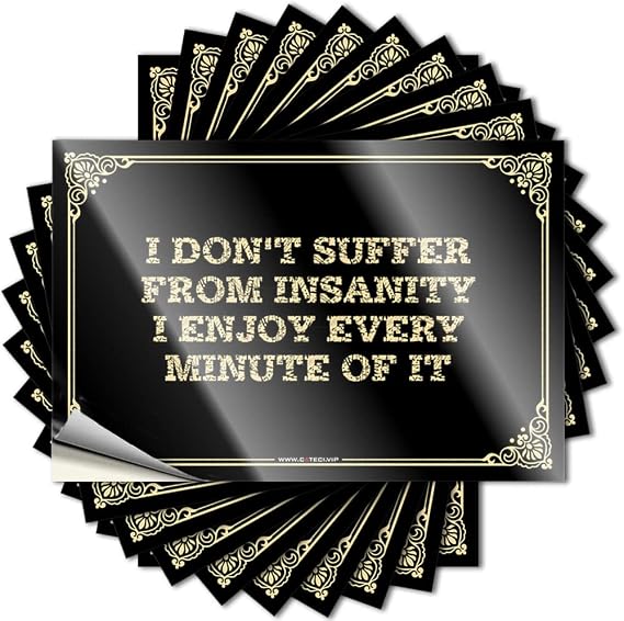 Funny Bumper Stickers for Adults I Don't Suffer from Insanity Enjoy Every Minute of It Stickers Funny Car Stickers Inappropriate Stickers(12X18CM)
