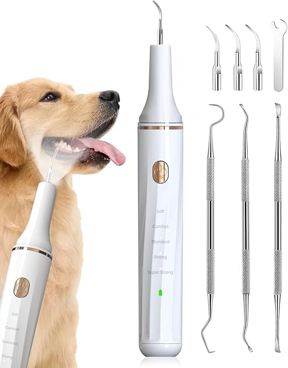 Hansaplast Plaque Remover for Teeth, Dog Teeth Cleaning, Dental Tools to Remove Tartar and Stains, Safe for Dogs & Cats, with Led Light & 5 Adjustable Modes(White)