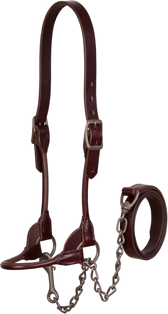 Weaver Leather Livestock Bombshell Show Halter, Brown, Large
