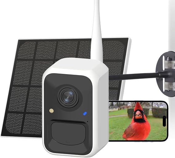 NETVUE by Birdfy Bird Camera for Feeder/Bath Birdwatching, Instant Alerts