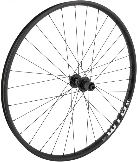 Wheel Master 29in Alloy Mountain Disc Double Wall 29in RR WTB ST TCS 2.0