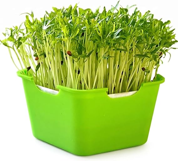 Sprouting Kit, 3-piece Microgreens Growing Kit, Soil-Free Sprouting Tray with Lid & Drainage Tray, Green, 7.487.483.54 Inch.
