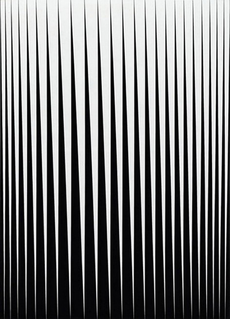 Bridget Riley Poster Abstract Wall Art Picture《Breathe 1966》by Bridget Riley Prints Modern Vision Canvas Painting For Home Decor 40x55cm Unframed