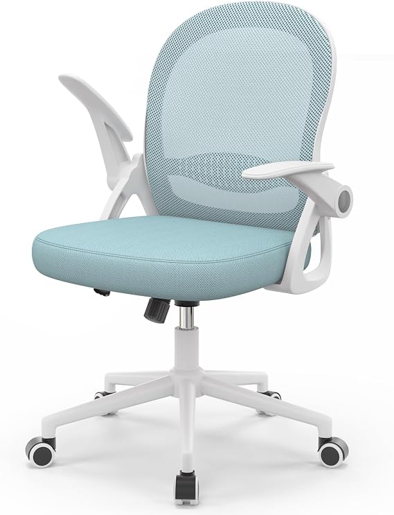 naspaluro Home Office Chair Ergonomic Desk Chair - Blue