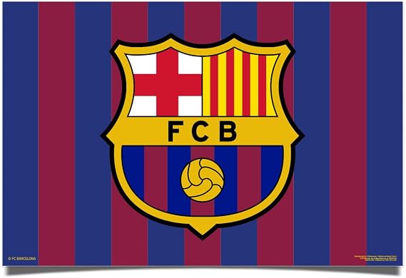 Desert Cactus FC Barcelona Poster 24 x 36 inch Wall Decor (D)