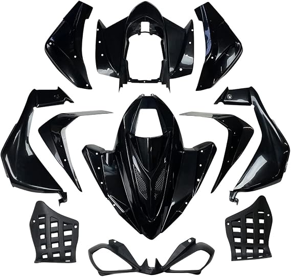 Complete Plastic Body Fender Assembly Front Rear Kit Compatible for Taotao ATA150G, ATA150-C, Cougar 200 SPORT (169cc), Coolster 3150 CXC, 3175S 125cc, IceBear R12 Chinese ATV (BLACK)