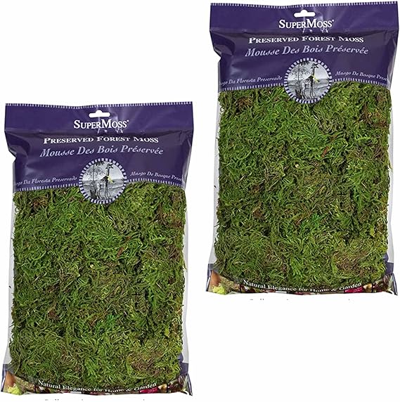 SuperMoss Forest Moss (2 Pack, 8oz) - Modern Garden Moss