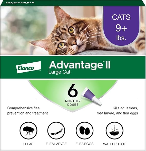 Advantage II Large Cat Vet-Recommended Flea Treatment & Prevention | Cats Over 9 lbs