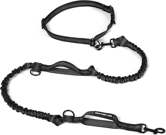 Mile High Life Hands Free Leash, Waist Leash for Dog Running Training and Jogging, Adjustable Belt with Double Padded Handle, Reflective Bungee for Medium Large Dogs (Black, 7FT)