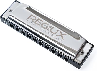 Professional Blues Harmonica, 10-Hole Diatonic, Black and Silver, Blues & Folk Music Instrument with Carrying Case
