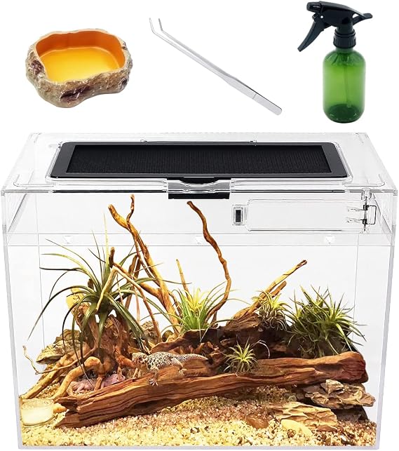 Reptile Growth Mini Reptile Terrarium,12" x 7"x 9" Reptile Tank with Full View Visually Appealing,for Insect,Fish,Tarantula,Hermit crab,Jumping spider,Iguana,Tortoise,Leopard Gecko,Frog,Bearded dragon