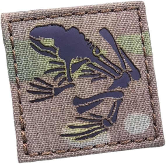 Frog 2x2 DEVGRU IR US Seals devgru Bone Seal Team Tactical Patch (Multicam)
