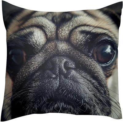 Decorative Pillow Covers,Throw Pillow Covers,Sad Pug Dog,1-Pc,20x20 in