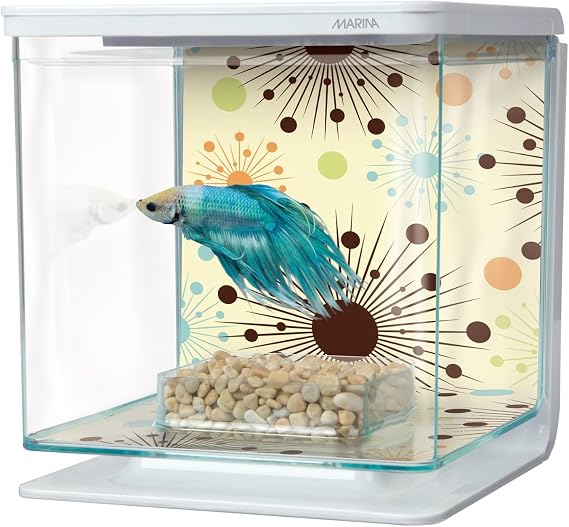 Marina Beta Fish Starter Set Hawaii