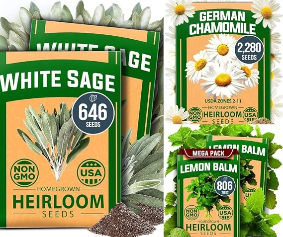HOME GROWN White Sage Seeds 646 & German Chamomile Seed Pack 2,280 & Lemon Balm Seeds 806