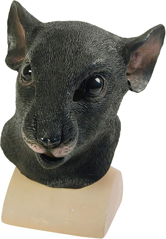 Bristol Novelty Unisex Adult Rat Mask