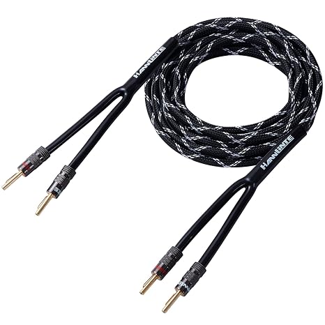 14AWG Speaker Wire Cable (3 Feet), 1 Pack Premium Heavy Duty Braided Speaker Cable Dual Gold Plated Banana Plug Tips in-Wall CL2, Oxygen-Free Copper (Black)