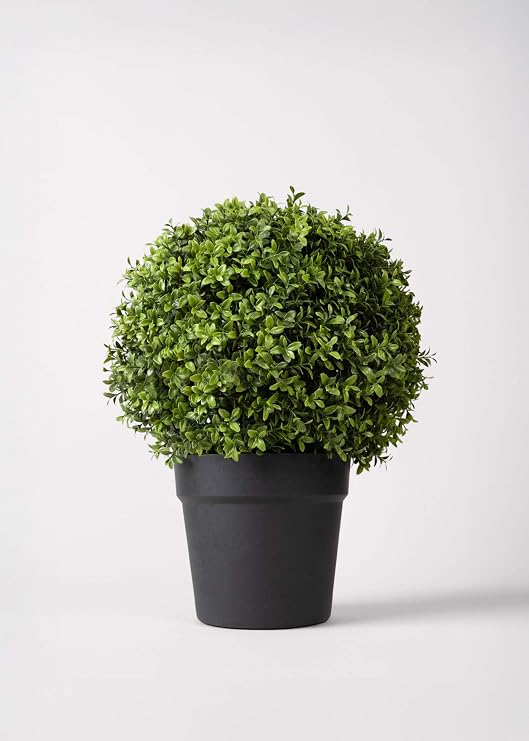 Radial Indoor/Covered Outdoor Faux Boxwood Topiary Plant in Pot - 22"