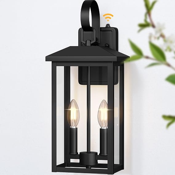 Brilvibera Large 2-Light Outdoor Light Fixtures Black