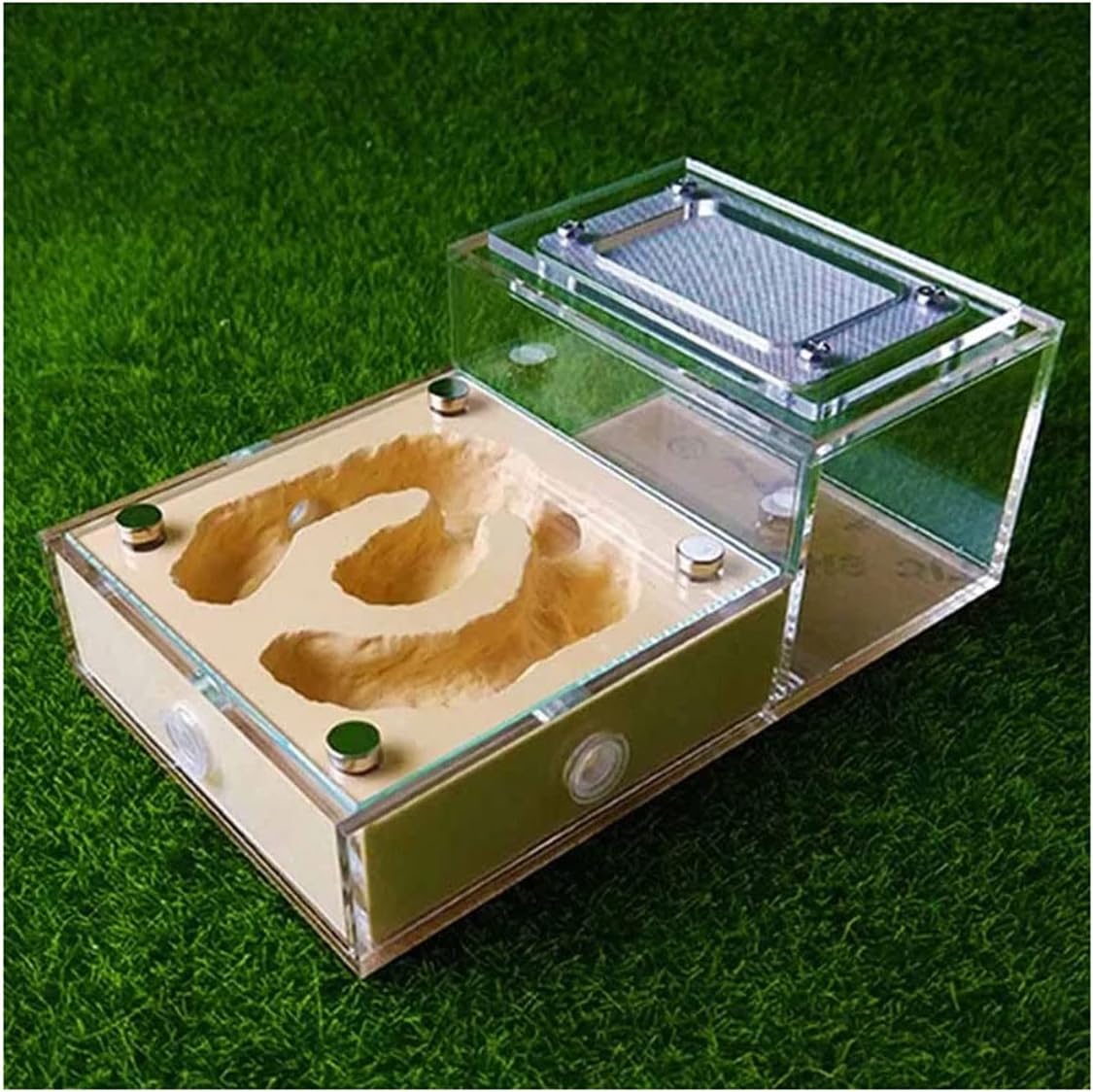 YKLL Ant Farm Magnetic Model Bionic Acrylic Flat Glass Gypsum Ant Farm Workshop Ant House Box Ecological Pet Anthill Ant Nest for Birthday Present Gift Color : Yellow-2