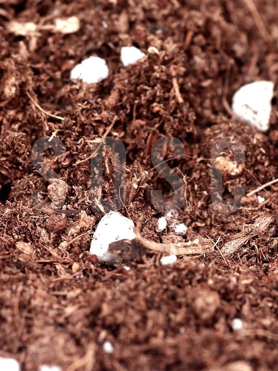 Substrat Mix Ithal Torf Cocopeat Perlit Özel Karışım Saksı Harcı Çiçek Ve Bitki Toprağı 5 LT