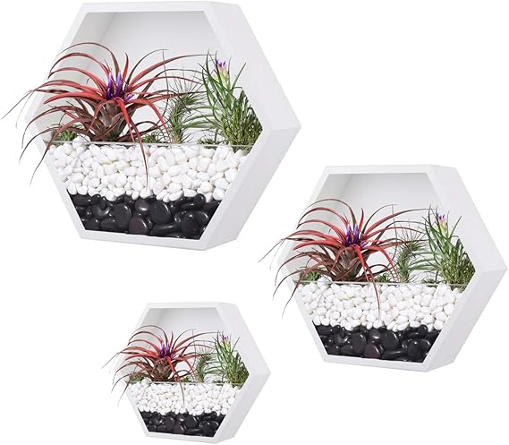 Hexagon Wall Hanging Planter, Mixed 3 Iron Honeycomb Wall Planter Indoor, Geometric Terrarium, Wall Vase Florarium, Metal Planter for Wall Decor, Hanging Terrarium (White)