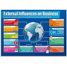 IDGTTLDF External Business Factors, Educational Wall Decor for Classroom, Laminated Chart on Market Forces for Economics Students(Framed,16x24inch(40x60cm))
