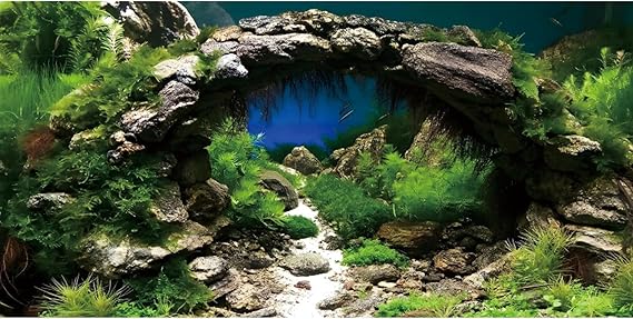 24x16 in Arch Stone Aquarium Backdrop Aquatic Plant Fish Tank Background