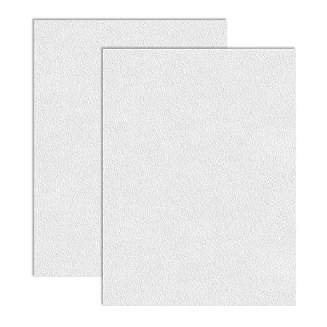 2 Pack White ABS Plastic Sheet 18" x 24" x 1/8" (3mm Thick), High Tensile and Impact Strength Moldable Plastic Sheet, DIY Material for Home Decor, Handcraft, Project & Structural Crafts