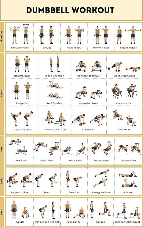 IDGTTLDF Strength Training Workout Chart - Dumbbell and Bodyweight Exercises Poster for Full Body, Laminated Visual Guide for Home Gym Wall Framed,08x12inch(20x30cm)
