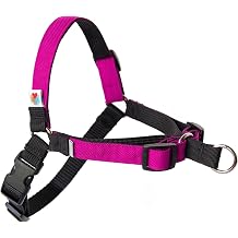 Wildebeest No Pull Dog Harness | Comfortable Dog Training Harnesses | Effective No Pull Harness Design | Ideal Dog Harness for Small Dog and Puppy | 4-Point Adjustable (XS - 15~20 inch Girth, Fuchsia)