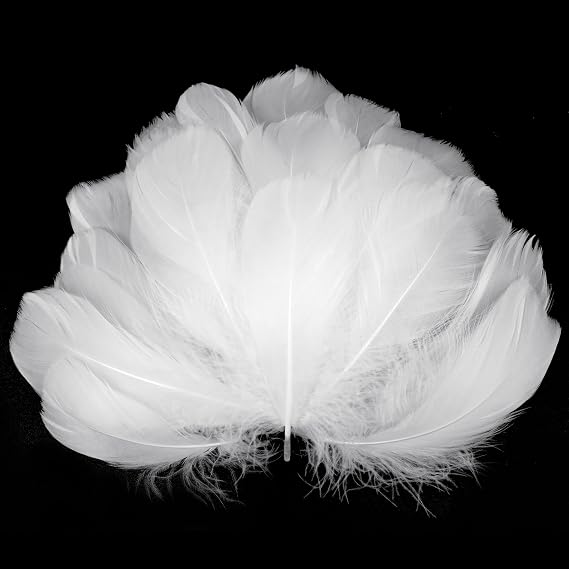 100pcs Feathers for Crafts,6-12cm Feathers Bulk,White Feathers,Natural Goose Feathers,Decorative Feathers Set for DIY Dream Catcher,Gift Box Filling,Wedding,Party Decorations Supplies