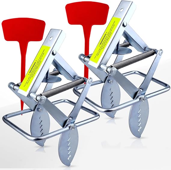 Mole Trap Scissor 2 Pack, Polaflex Mole Traps for Lawns, Step-Set | Easy Step-Set Design Durable Galvanized Steel Effective Lawn Mole Killer Scissor Action Mechanism