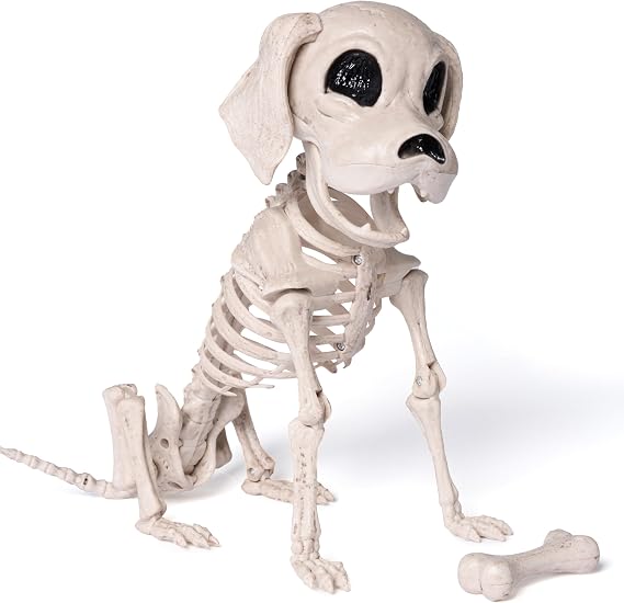 JOYIN Posable Halloween Dog Skeleton Full Body Posable Joints Realistic Skeleton Puppy with Movable Joints for Halloween Decoration, Graveyard Party Decor (9.8 X 4.7 X 12.6)
