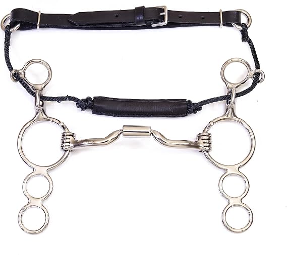 Western Low Port Barrel Combination Bit with Leather Noseband