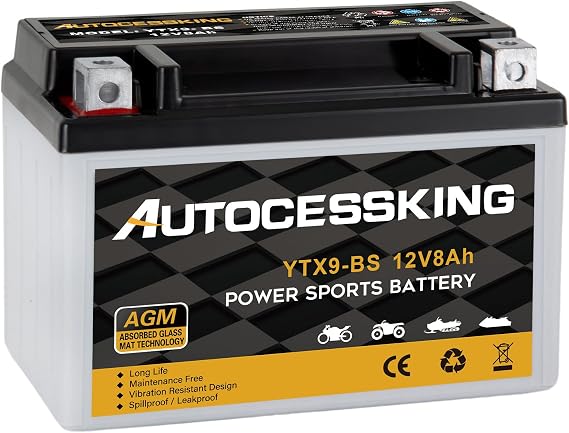YTX9-BS 12V 8Ah Motorcycle Battery, Rechargeable Sealed AGM Battery Maintenance Free Powersport Replacement Battery for ATV and Scooter