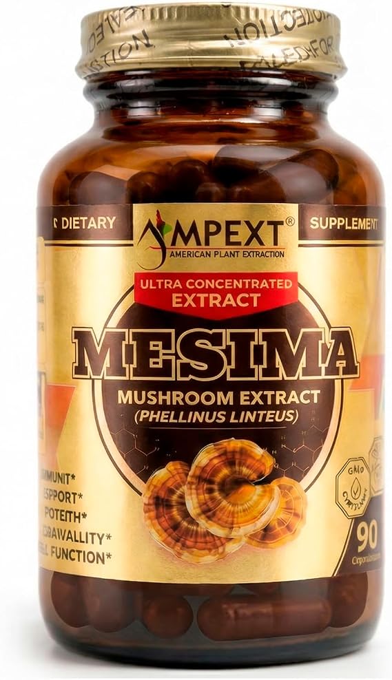 Phellinus linteus Mushroom Extract - Premium Quality, Only Fruiting Bodies, Antioxidant, Immunity Booster, Liver Support, 90 Veg Caps.