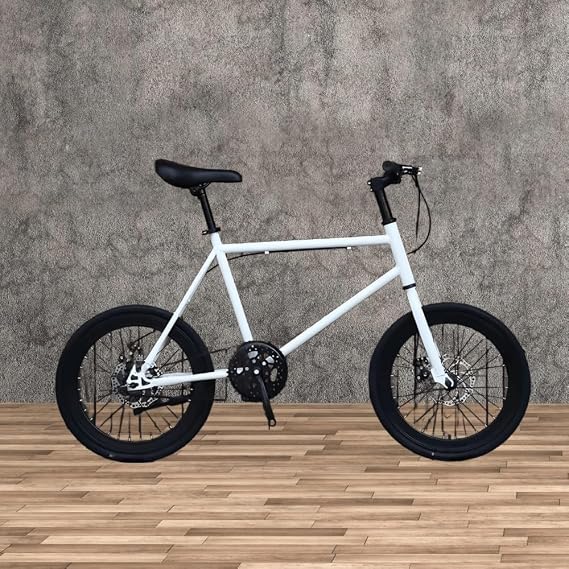 VoyageView20インチのディスクブレーキ付きミニバイク、軽量で持ち運び可能、積載量120kg、サドルの高さ調節可能、ブレーキ感度調節可能、小径滑り止めタイヤ、高炭素鋼フレーム、通勤や都市での乗馬に適した男性と女性、大人、子供、初心者に適しています 白と黒 並行輸入品