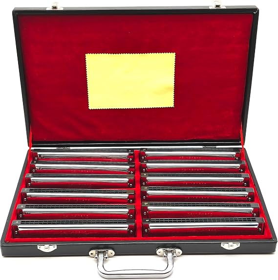 Swan 24 Hole Polyphonic Harmonica C Key A/B/D/E/F/G/A #/C #/D #/F #/G # Professional Tremolo Harmonica Beginners and Adults