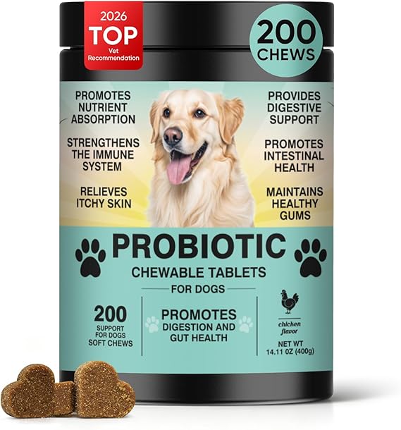 Probiotics for Dogs Gut Digestive Health Probiotic Chews for Dogs Digestive Enzymes Relieve Diarrhea Immunity Oral Problems Itching Constipation Prebiotics Dog Probiotics 200 Ct Chicken