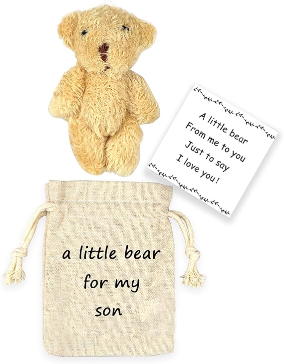 LUOKIFUR Pocket Bear Boyfriend Long-Distance Teddy Bear I Love You Gift Couple Long-Distance Relationship for him (Son)